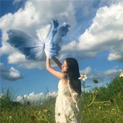 王道 海报
